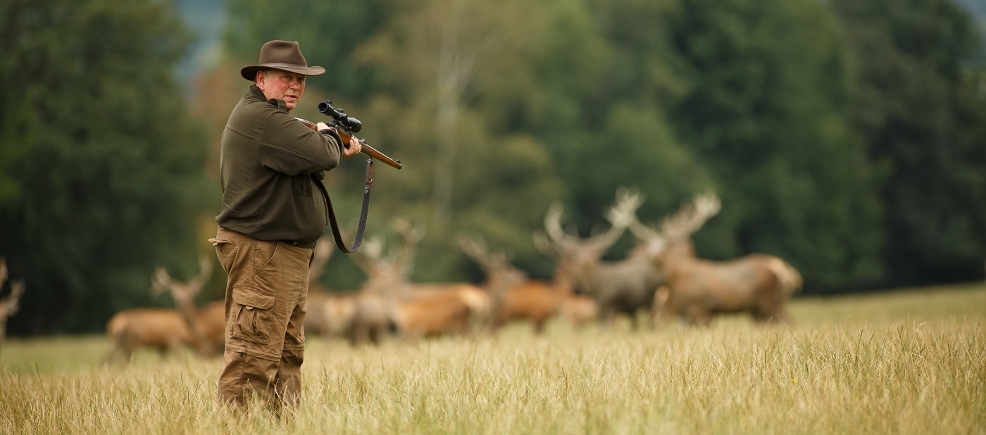 The basics of deer hunting: what you need to know before heading out